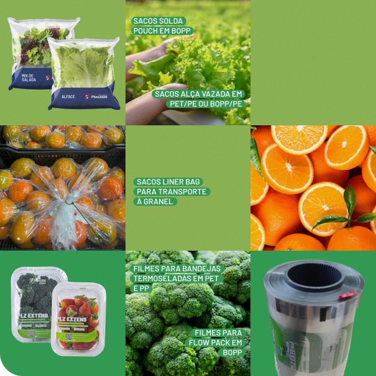 Aplicações do filme PLZ Extend para frutas, legumes e flores no pós-colheita